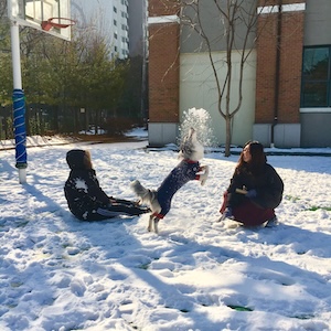 기다려 지는 두번째 겨울 썸네일