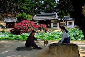 사랑 썸네일