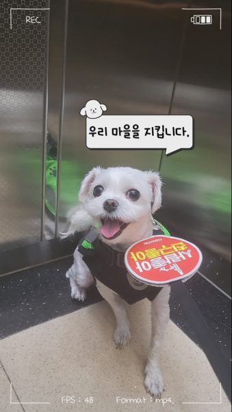 아랑이와 함께 지키는 마을 썸네일