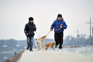 산책 썸네일