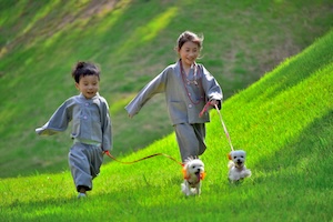 행복의 질주 썸네일